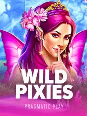 Wild Pixies at Slots Gallery