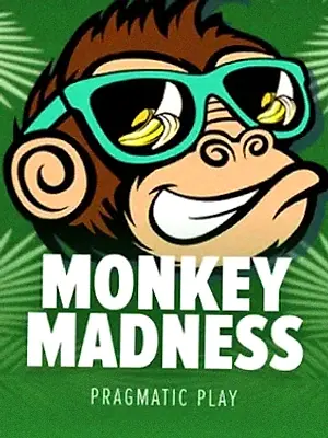 Monkey Madness at Slots Gallery